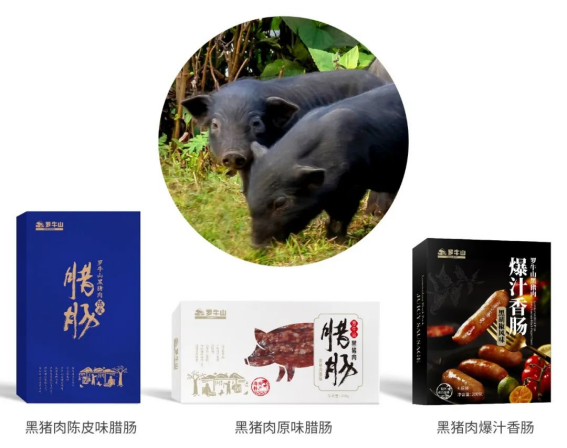 1708415663.png image.png